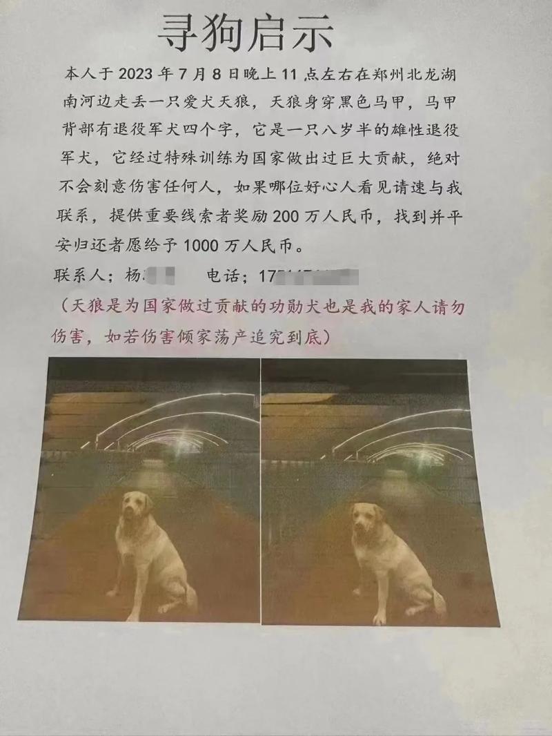 郑州流浪动物领养中心：已找到,“悬赏1000万找狗”最新消息寻狗|市民|领养
