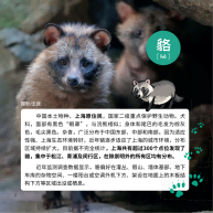 What should we do if there are more and more of them?, Survey of nearly 300 residential communities in Shanghai living together with national second level protected animals | Wildlife | Residential Areas