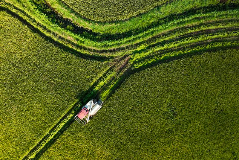 HD Large Picture | Yongchuan, Chongqing: Mechanized Operation for Rice Harvesting Press Fast Forward Button for Rice | Reporter | Yongchuan, Chongqing