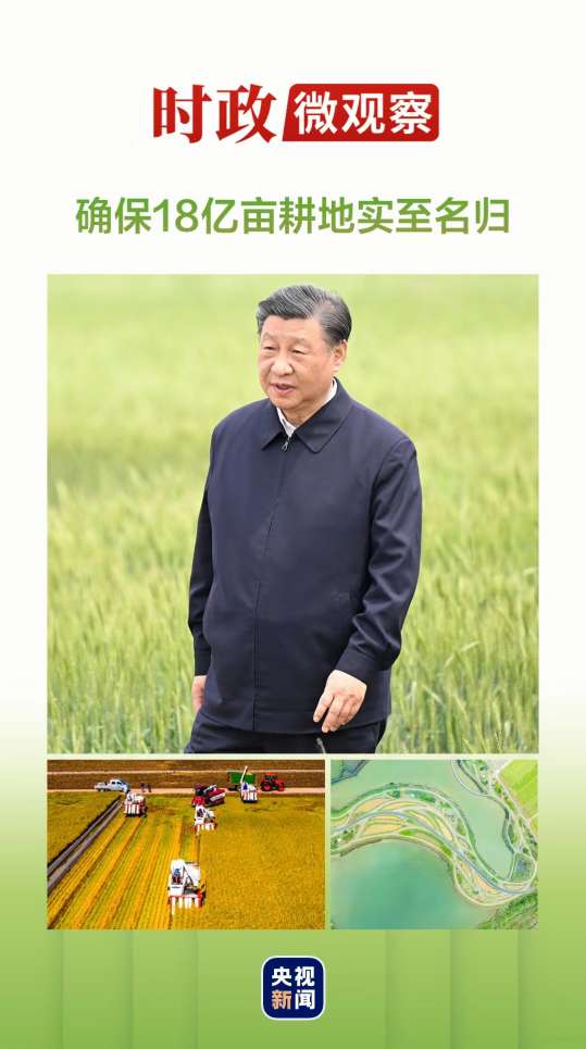 Current Political Micro Observation | Protecting Farmland Vision Like Protecting Giant Pandas | Luan Xiyan | | | Ning | Giant Pandas