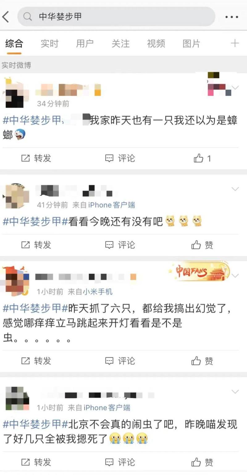 Emerging every day, the entire living room is filled with it! Many households in Hangzhou suddenly appear: scared and confused in the Beijing Tianjin Hebei region | netizens | living room