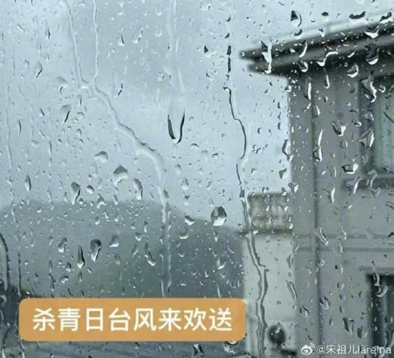 Apologies have arrived, "Farewell to the typhoon" or "If encountering water, it will happen"? Multiple celebrities with accompanying articles overturned Weibo | Life | Typhoon