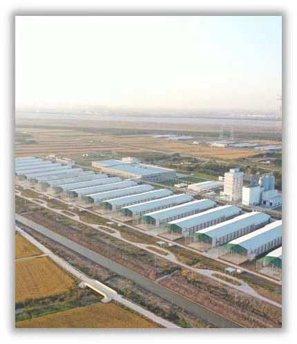 Countryside are sending out invitations to the world with good farmland, and Shanghai is launching "agricultural investment promotion" projects | agriculture | good farmland