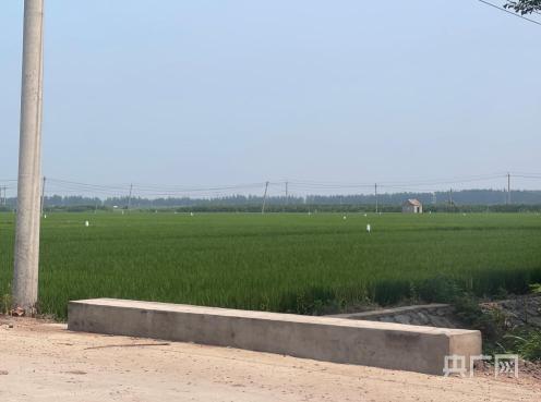 耕地大面积荒废,辽宁铁岭部分优质黑土地遭采煤沉降复垦|积水|耕地