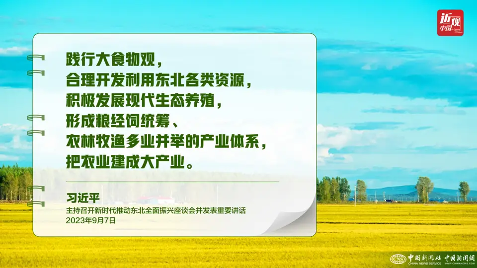 Build a diversified food supply system, Xi Jinping: Establish a big food concept