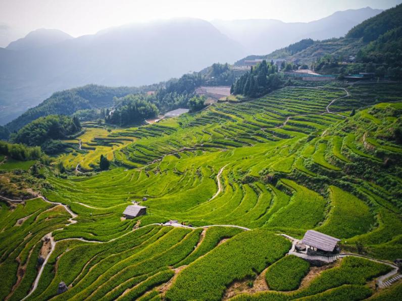 Xinhua News Agency reporter said that "foreign journalists" in "Zhejiang" take you to understand the beautiful Zhejiang of China | British | journalist