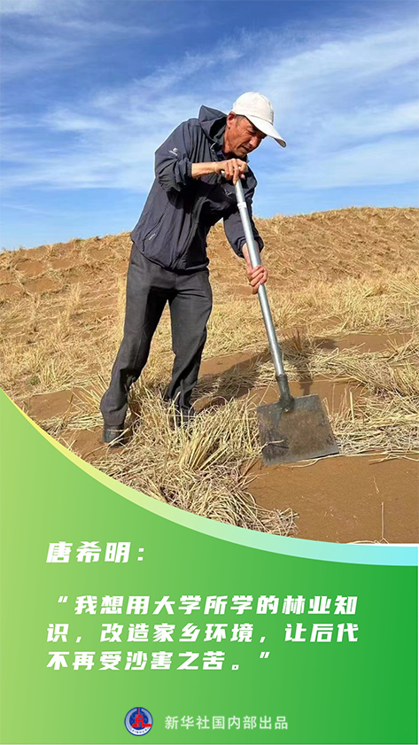 General Secretary Xi Jinping Concerns | Strive to Create a New Miracle of China's Sand Prevention and Control in a New Era Wetland | Ecology | Era