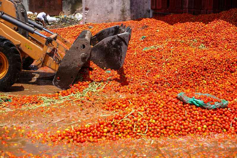 Demanding fair pricing, [Looking at the World] Nepalese farmers dumping large amounts of tomatoes to protest against the Nepalese government | Uganda | Protest demand