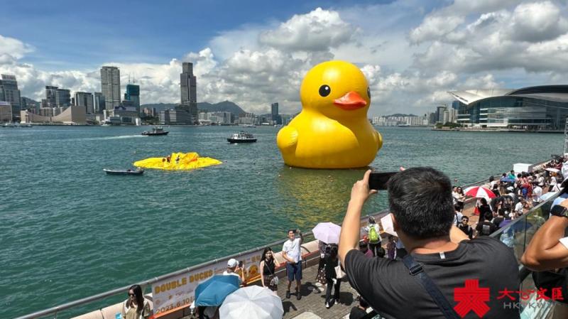 大黄鸭重返香港“热爆了”？主办方回应船只|橡皮|香港
