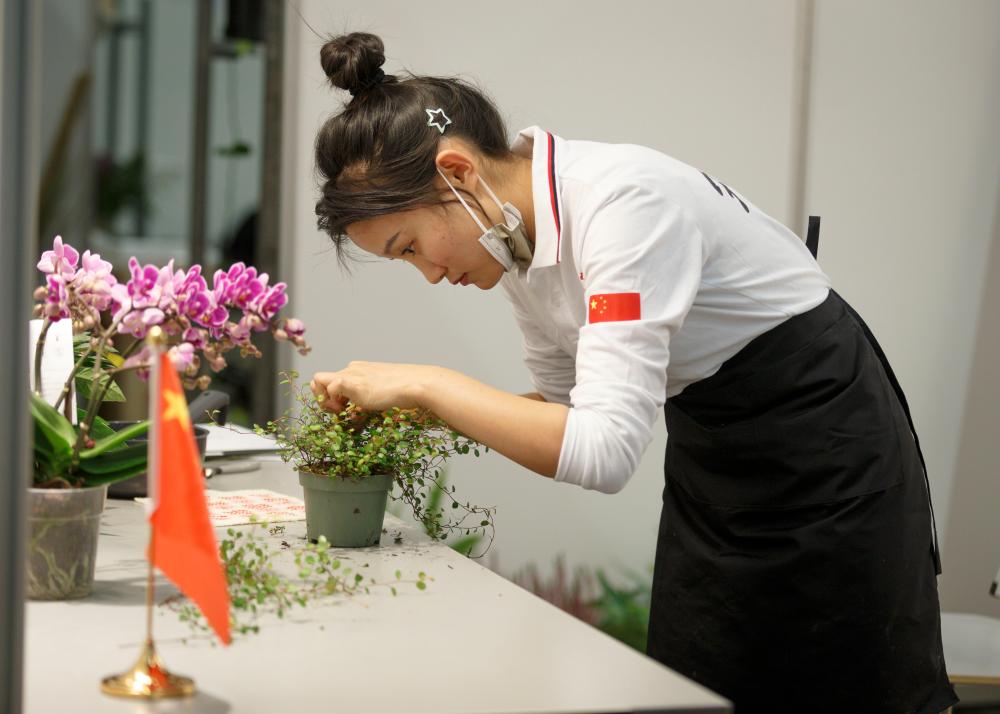 The Shanghai Employment Promotion Regulations have been implemented for more than five months to provide action guidelines for promoting high-quality and full employment; Shanghai Municipal Bureau of Human Resources and Social Security; Great country craftsmen