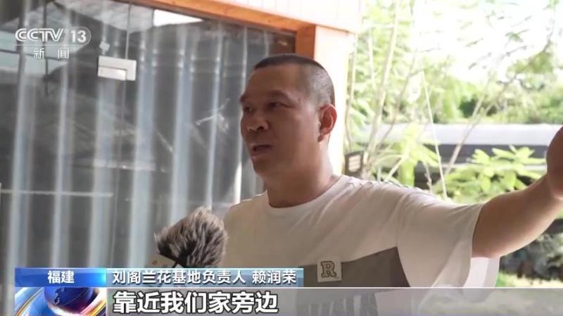 从“方寸地”到“聚宝盆”小小庭院潜力有多大？兰花|庭院|潜力