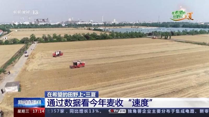 This year's wheat harvest: mechanized harvesting accounts for over 99%, with over 800000 agricultural machinery workers competing for the sky and time. Wheat | homework | wheat harvest