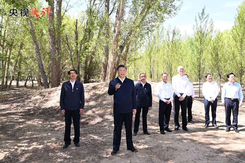 CCTV Quick Review: Striving to Create a New Miracle of China's Desertification Prevention and Control in the New Era | Ecology | Era