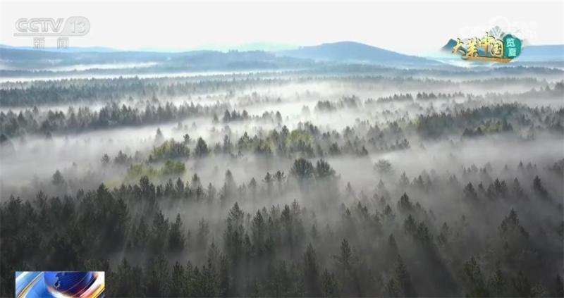 Green creates miracles, barren mountains are covered in green clothes. Aerial photography of China, experiencing the beauty of summer. Altitude | Grassland | Experience