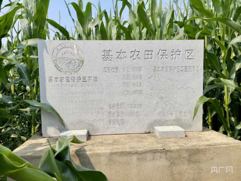 Large areas of farmland are abandoned, and some high-quality black soil in Tieling, Liaoning has been reclaimed due to coal mining subsidence | waterlogging | farmland