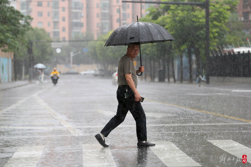 目前申城“双黄”预警高挂！,入梅首场暴雨来袭梅雨|上海|预警