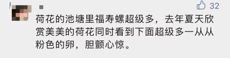 严重可致死！,杭州多地已出现！大批网友拍到它：寄生虫多达6000条粉色|村子|网友