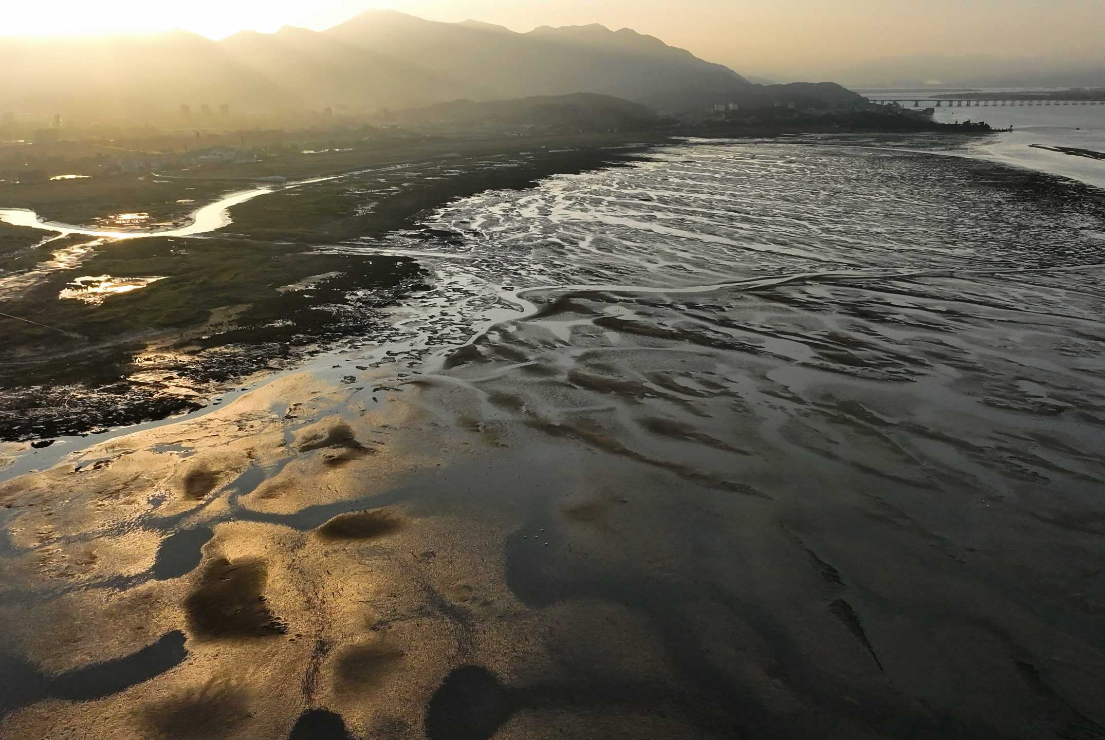 From Endangered to Reborn - Observation of the Butterfly Transformation in the Minjiang River Estuary Wetland over 20 Years | Wetlands | Minjiang River