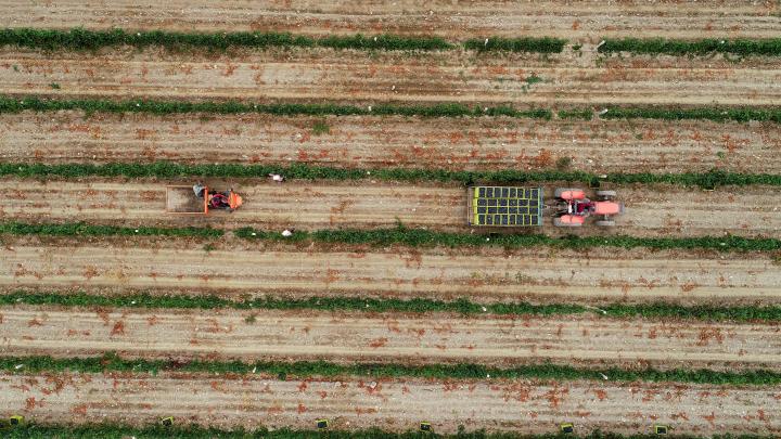 Chinese red wine producing regions are moving towards the world through exchange and mutual learning, connecting globally | from Helan Mountain to Bordeaux Ningxia | Wine | China