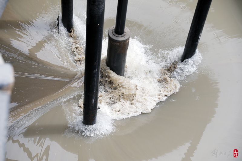 Guarding the Golden Waterway: Sisters of Dredging Ships in the Yangtze River Estuary Dredging 183 million cubic meters of dredgers in Ten Years | Yangtze River Estuary