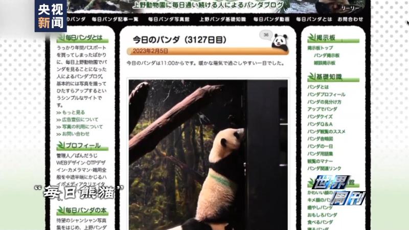 World Weekly | Round Dream Time | Giant Panda | Dream