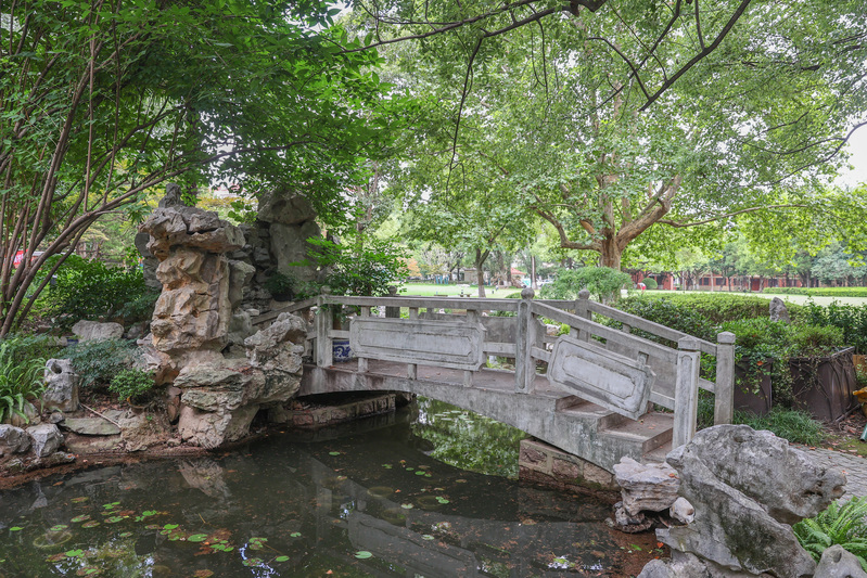 Open sharing makes Shanghai full of greenery, and the 90 year old "little angel" on Hengshan Road has turned to ecology for the first time | Park | Hengshan