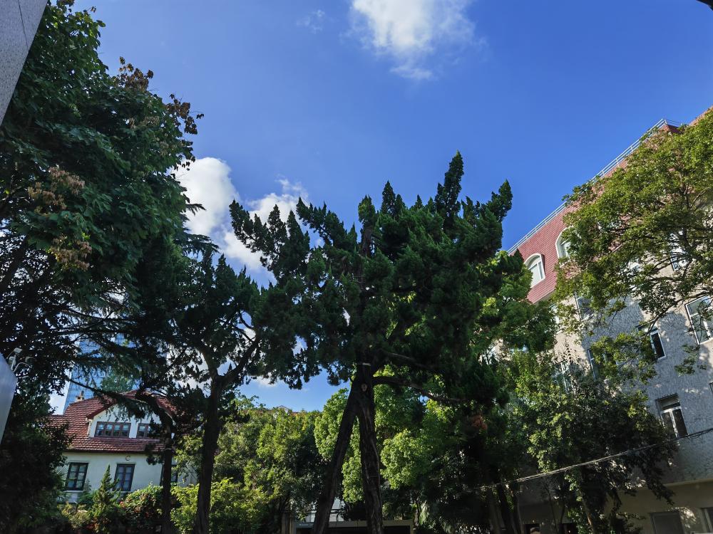 Let well-known cultural and creative enterprises queue up to settle in | Observation of characteristic parks ⑦, what is the charm of this pocket park in the city center | Typical | Enterprises