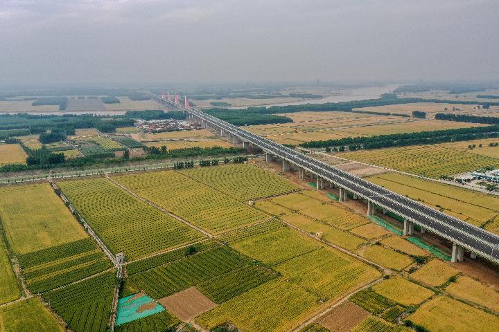 "Returning Forestry to Farming"? Originally, it was a pseudo concept type | cultivated land | concept