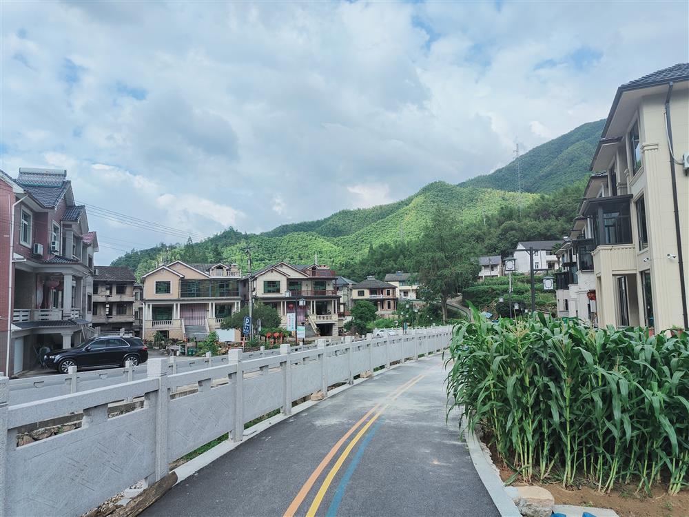 Free design of houses for farmers, opening blind box village ③ | Designers who have worked in Shanghai return to their hometowns to start businesses in the village | Zhejiang | Farmers