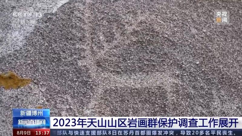 Staff of the 2023 Tianshan Mountain Rock Painting Group Protection Survey | Rock Painting | Mountain Area