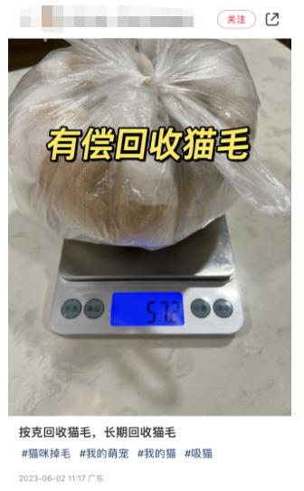 记者亲身体验发现……,猫毛按克回收有人卖了200多元？博主带货引质疑猫毛|博主|回收