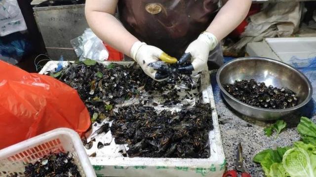Restaurant owner: During peak season, we sell four to five hundred kilograms a day, which costs 400 yuan per kilogram? Zhejiang Lishui eats cicadas and sells exorbitant vegetation | Video | Restaurant owner