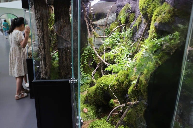 Take a spiritual rest journey coexisting with moss, and get close to the miniature jungle landscape atrium of the self museum | moss | jungle