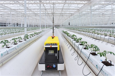 Empowering Modern Agricultural Intelligence with Digital Technology | Agriculture | Technology