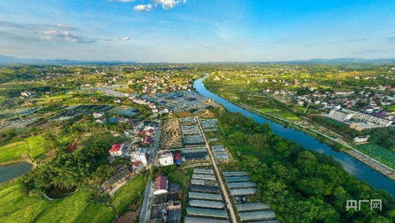 Hemei "Xiang" Village | Shaoyang Shuangqing: Walking on the "Happy Road" Industry amidst Mountains and Waters | Rural | Shaoyang Shuangqing