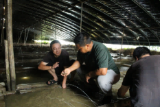 Nurturing pearl clams | During summer practice, they put on water pants, and the only freshwater pearl technology small courtyard in the country with over 40 degrees Celsius freshwater | National | Small Courtyard