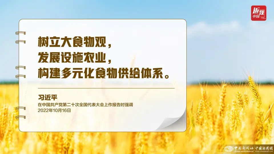 Build a diversified food supply system, Xi Jinping: Establish a big food concept