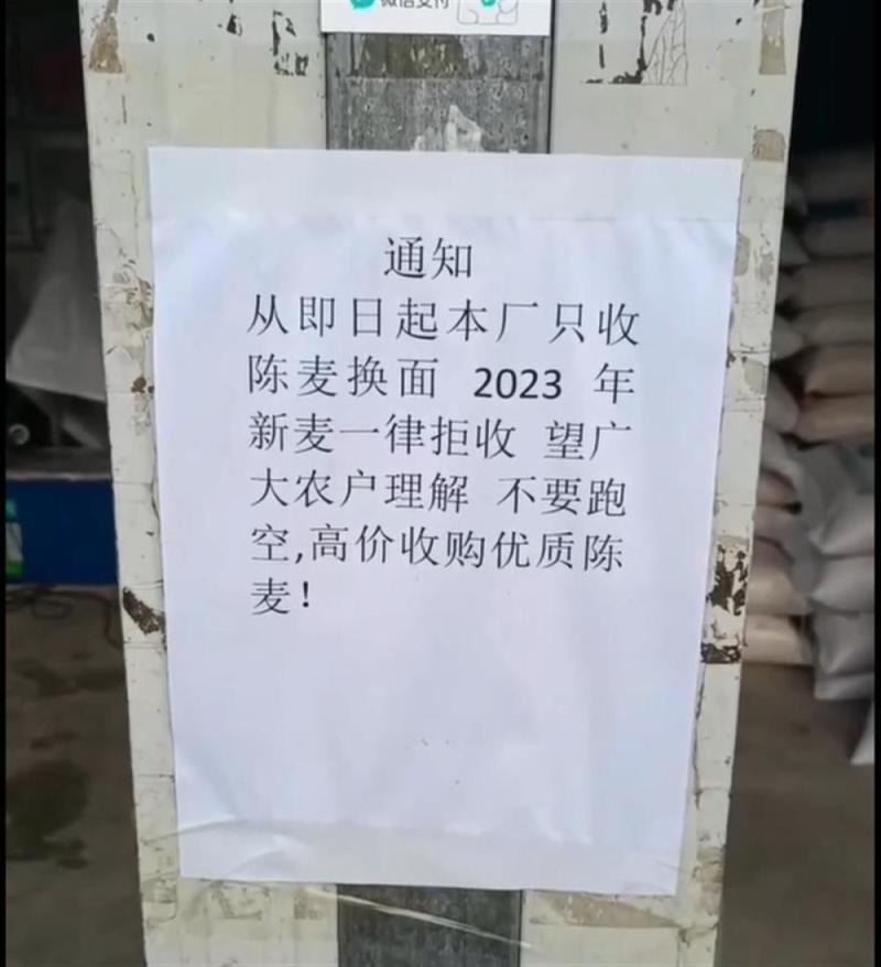 Related departments: Due to market-oriented behavior, there is no right to interfere. A flour mill in Yucheng, Henan Province refuses to accept the quality of new wheat | Wheat | Department