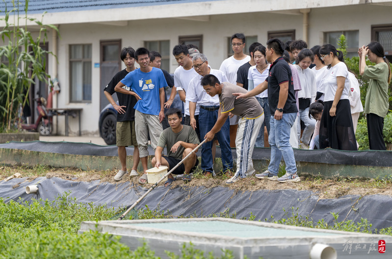 Chongming Zhuxin Town, a small technology academy, has achieved a close connection between "local professors" and "professors" in the career of raising crabs | local professors