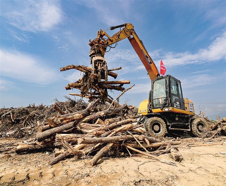 齐心协力开展灾后恢复重建先锋队|书记|齐心协力