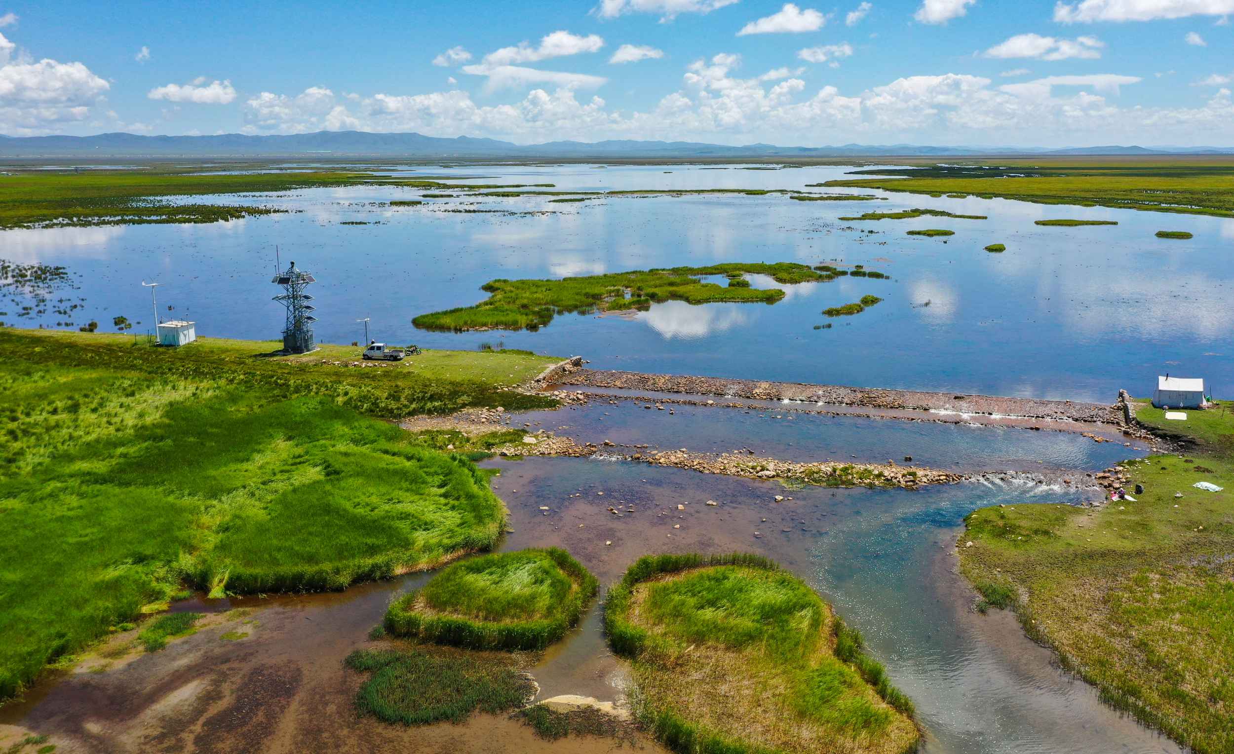 New Era China Research Tour - Yellow River Chapter | Flower Lake Butterfly Transformation