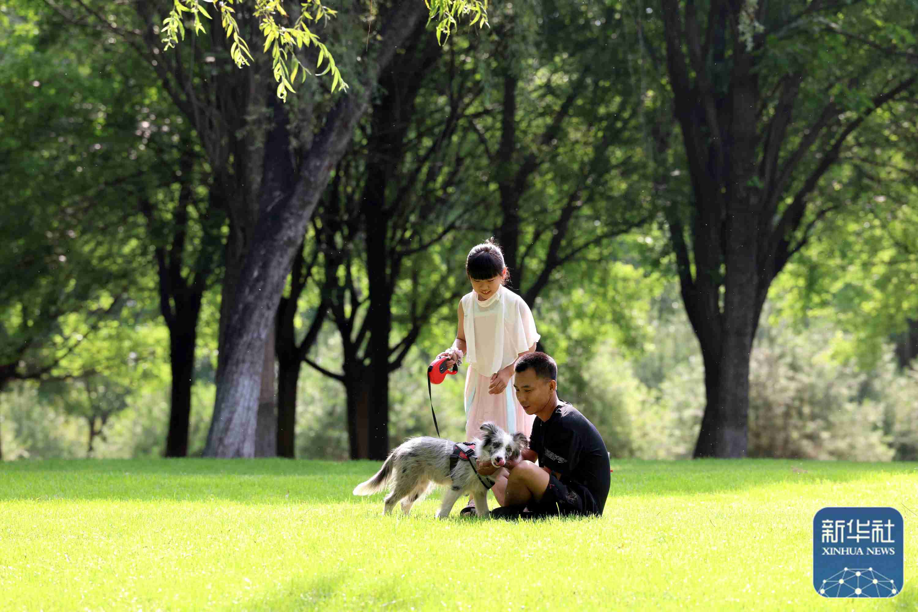 开放城市绿地亲近美好自然搭帐篷|绿地|自然