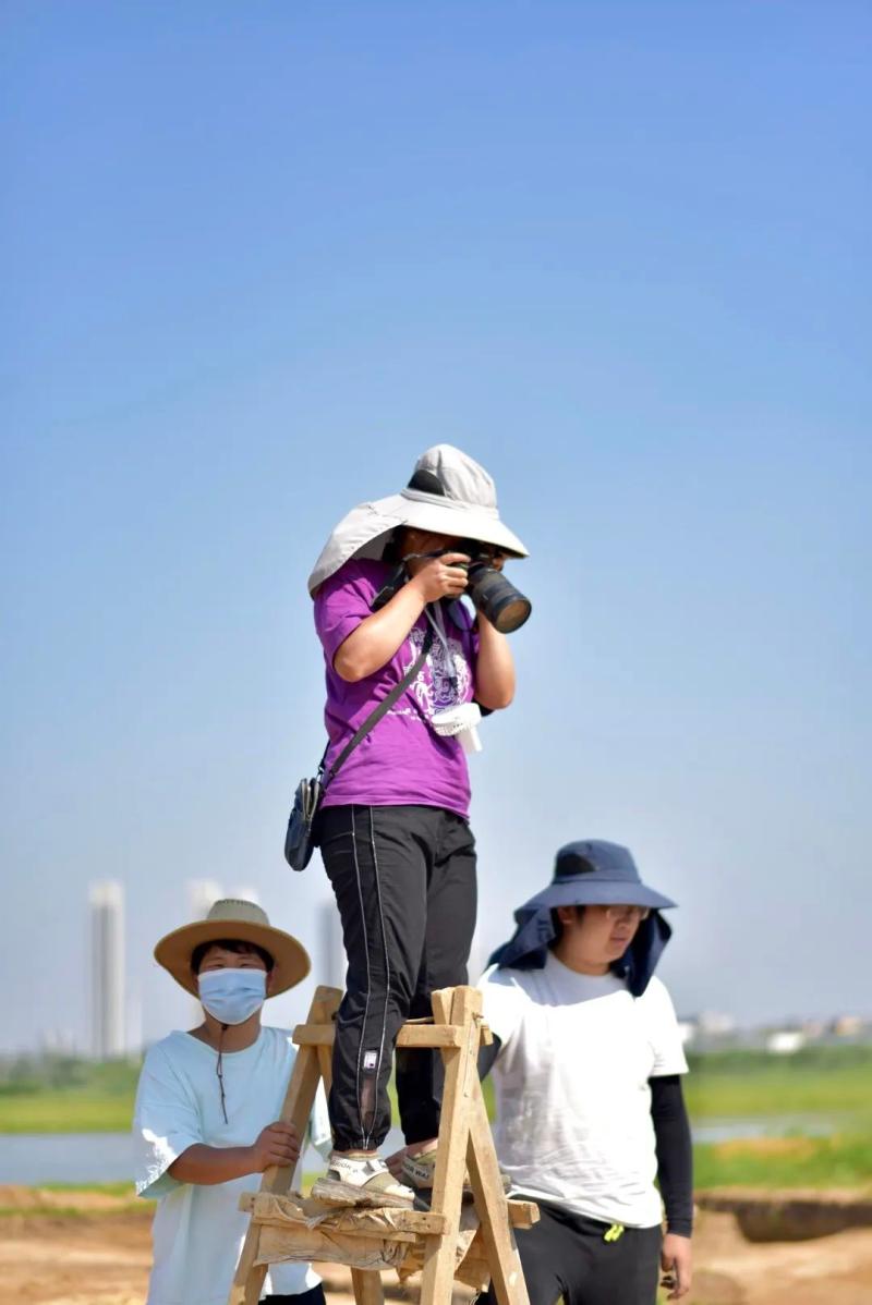 探寻“何以中国”,青年考古工作者：在田野解锁未知清洗|盲盒|田野