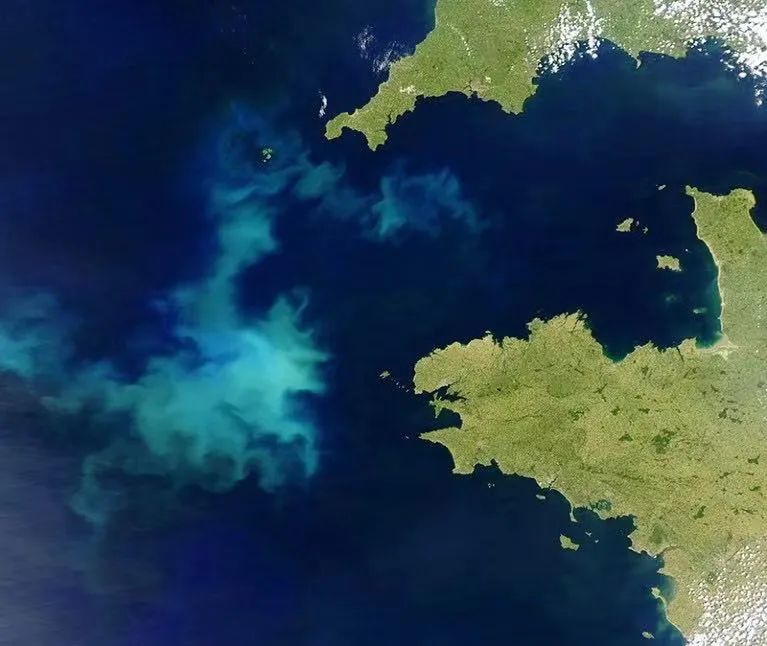 56%! The global ocean is becoming increasingly green and blue sphere | Aqua | Global