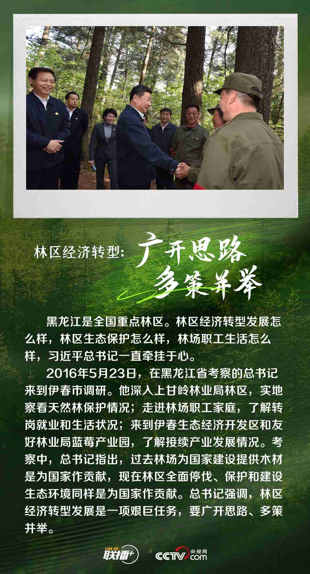 Broadcast+| General Secretary of afforestation and forest protection always cares about this green color