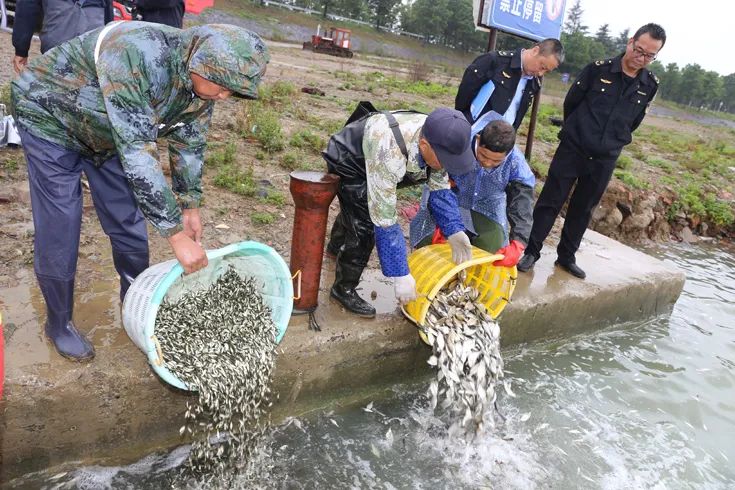 How to Protect Green Waters and Green Mountains in Shanghai, the First National Ecological Day, where a gang illegally caught 70000 kilograms of octopus and was sentenced to public welfare | Ecological Environment | Ecological Day