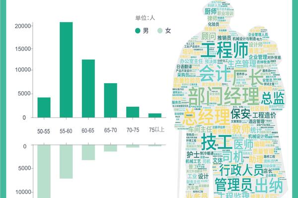 72000 job resumes analysis: why and what talents do elderly people need when they continue to work? | Elderly people | Job seeking