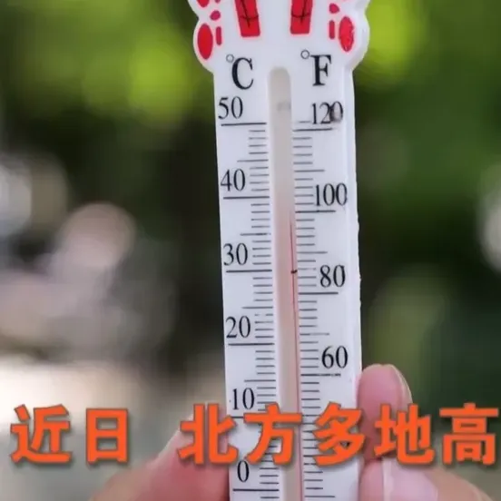 Focus Interview: Preventing "cooling" measures to cope with high temperatures