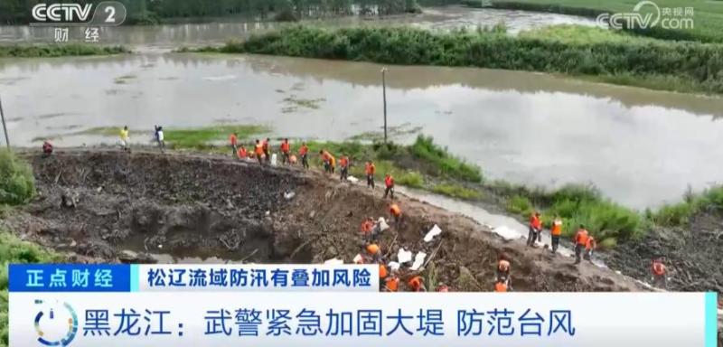 松花江干流哈尔滨站或将出现洪峰,紧急加固大堤！今晚降雨量|卡努|干流