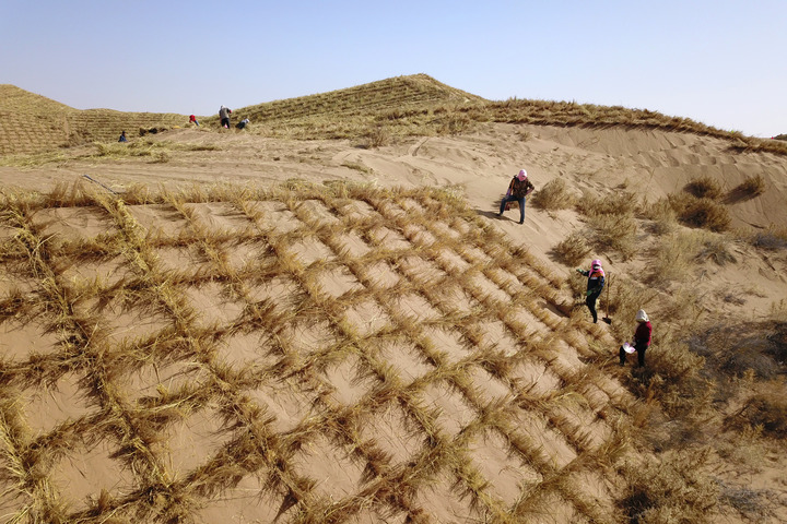 "Green Dyed" Homeland - Gansu Practice of Three Dimensional Sand Prevention and Control, Embracing Gulang County in Wuwei City | Babusha | Desert